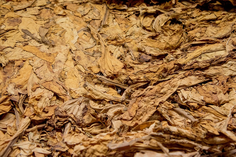 Incautados 3.700 kilos de picadura de tabaco en Cieza (Murcia)